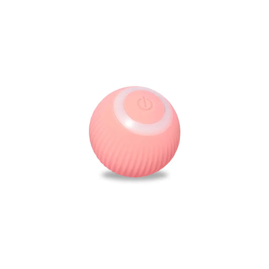 Rolling Ball bouncing pet toy in coral