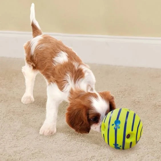 Dog playing with Glow in the Dark Dog Ball outdoors
