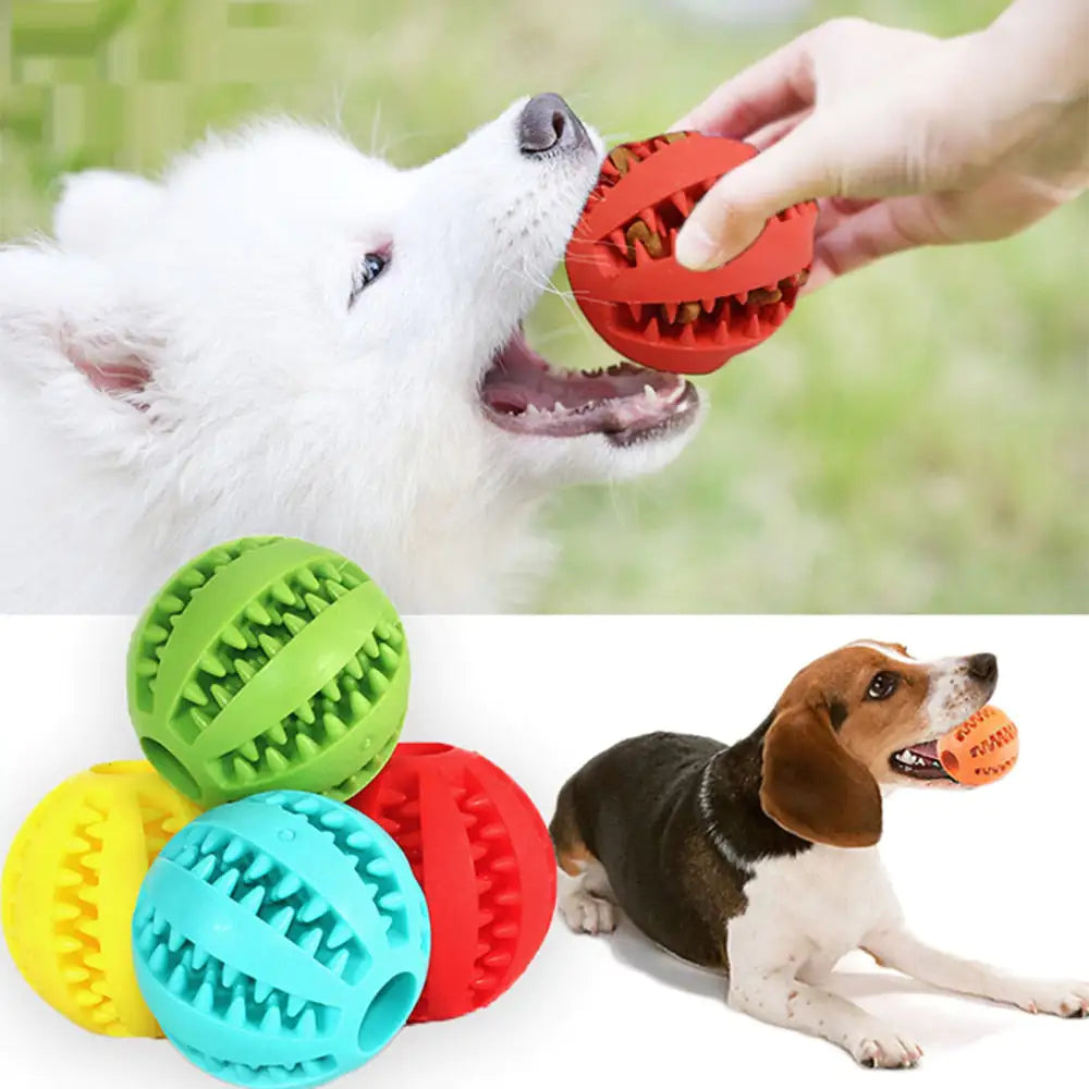 Interactive Toy Balls color variety pack