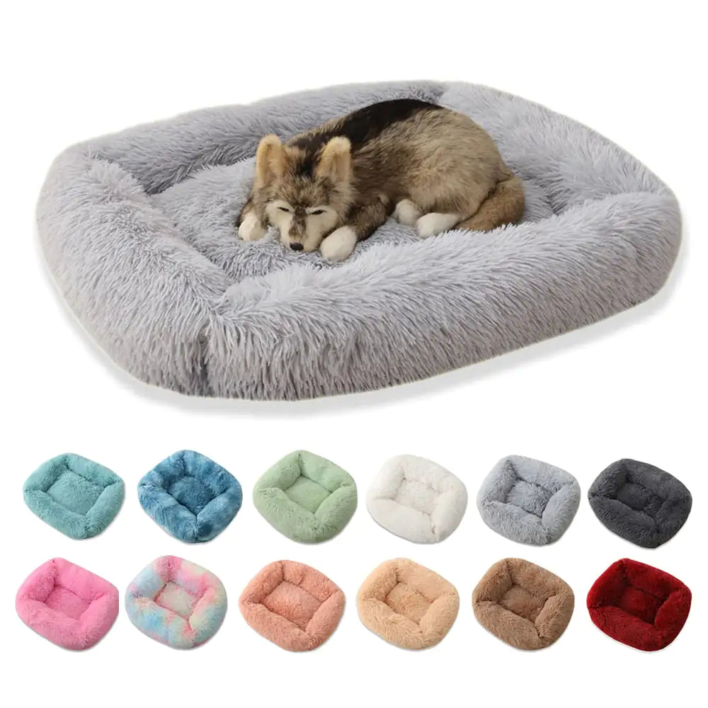 A cozy dog resting on a grey Plush Pet Bed surrounded by various color options of similar beds.
