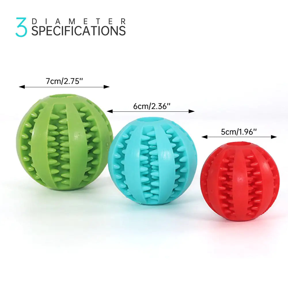 Pet playing with Interactive Toy Balls